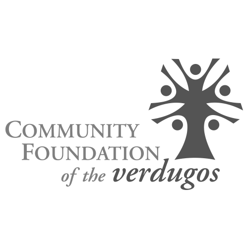 CFV Logo