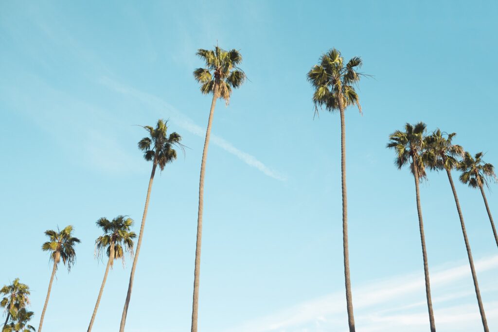 4 Reasons to Hire a Los Angeles SEO Company