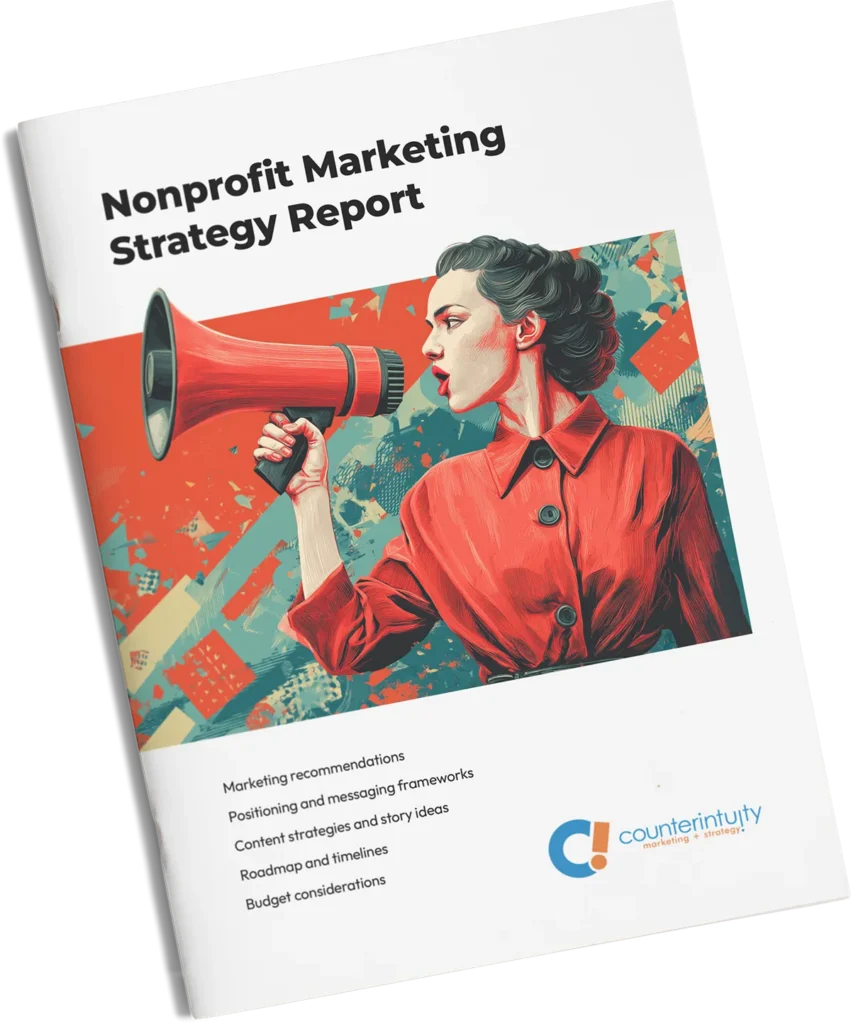 Nonprofit marketing strategy report